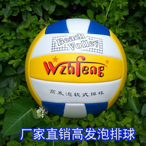 Ballon de volley - Ref 2012086