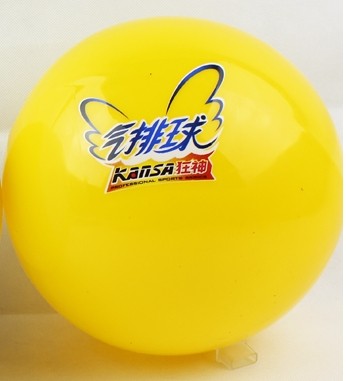 Ballon de volley - Ref 2012089