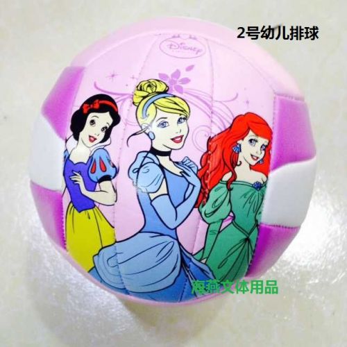 Ballon de volley - Ref 2012094
