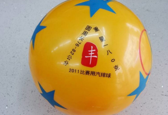 Ballon de volley - Ref 2012104