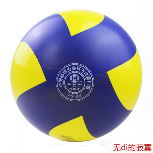 Ballon de volley SOTX - Ref 2012111