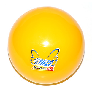 Ballon de volley - Ref 2012115