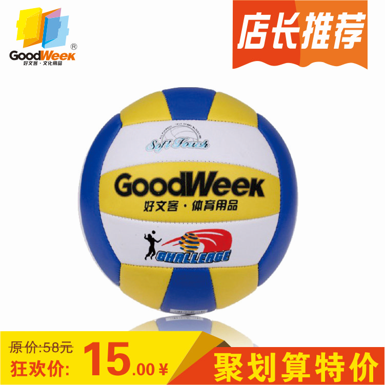 Ballon de volley - Ref 2012121