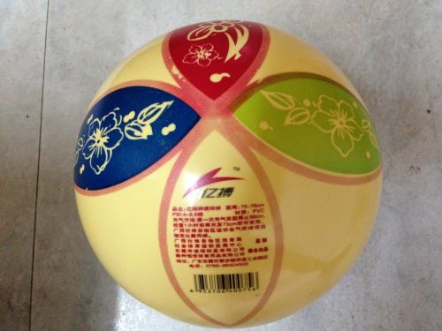 Ballon de volley - Ref 2012125