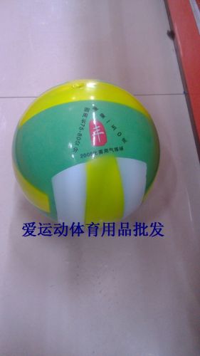 Ballon de volley - Ref 2012131