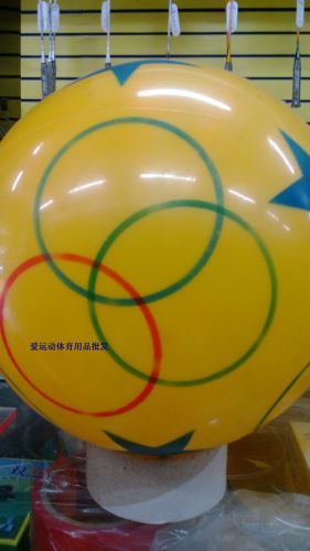 Ballon de volley - Ref 2012132
