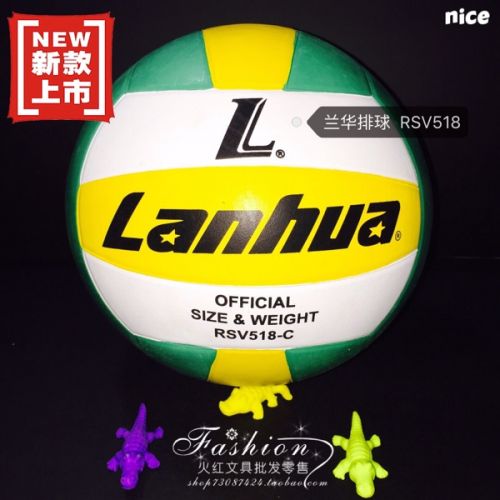 Ballon de volley - Ref 2012133