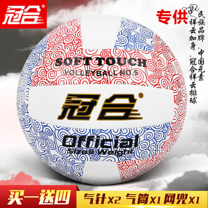 Ballon de volley - Ref 2012136
