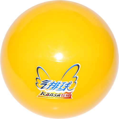 Ballon de volley - Ref 2012142