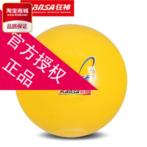 Ballon de volley - Ref 2012144