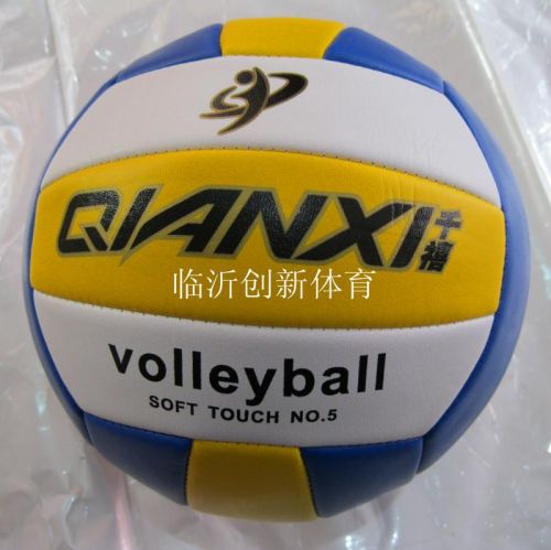 Ballon de volley - Ref 2012150