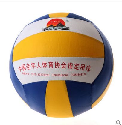 Ballon de volley - Ref 2012159