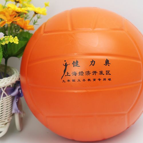 Ballon de volley - Ref 2012182