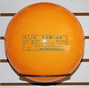 Ballon de volley - Ref 2012186