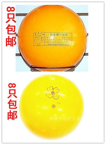 Ballon de volley - Ref 2012189