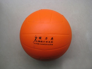 Ballon de volley - Ref 2012195