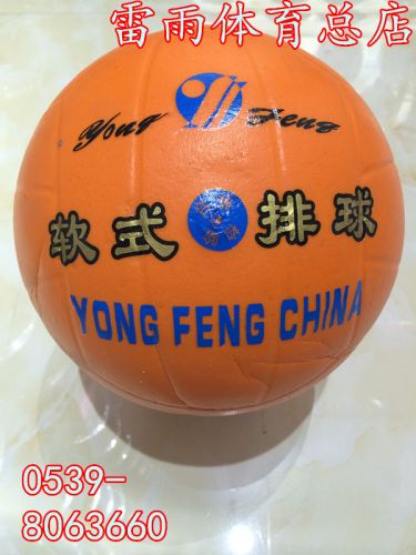 Ballon de volley - Ref 2012199