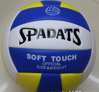 Ballon de volley - Ref 2012223
