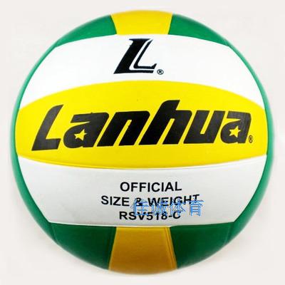 Ballon de volley - Ref 2012224