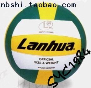 Ballon de volley - Ref 2012231