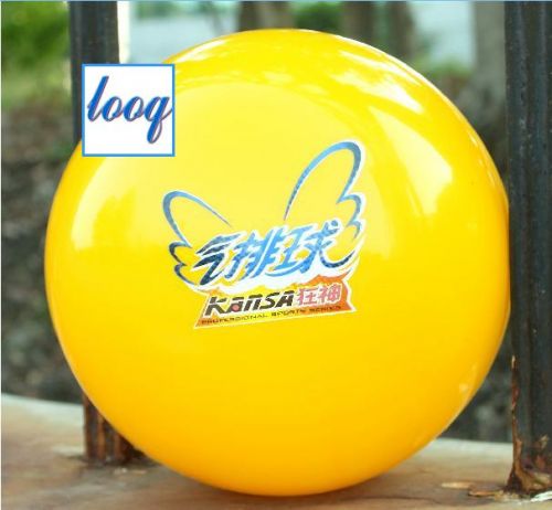 Ballon de volley - Ref 2012244