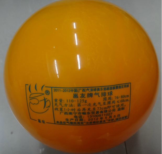 Ballon de volley - Ref 2012246