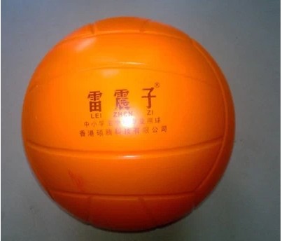 Ballon de volley - Ref 2012247