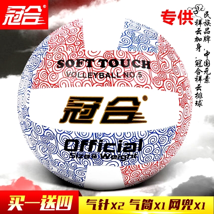Ballon de volley - Ref 2012260