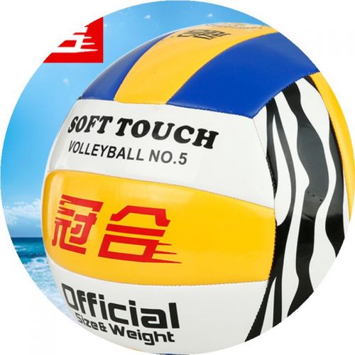 Ballon de volley - Ref 2012289