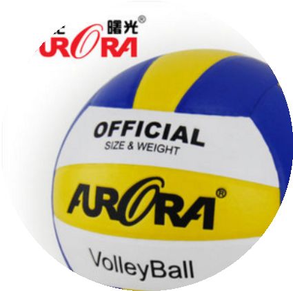 Ballon de volley - Ref 2012296
