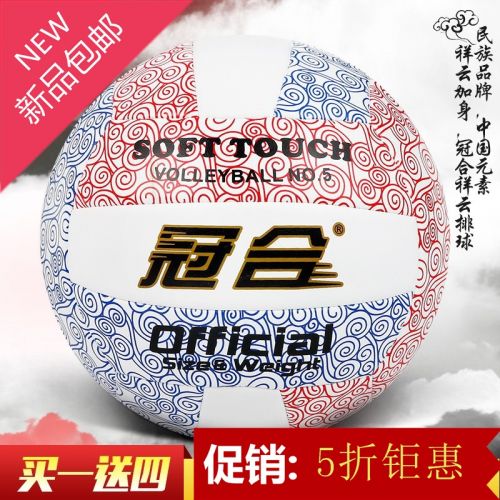 Ballon de volley - Ref 2012308