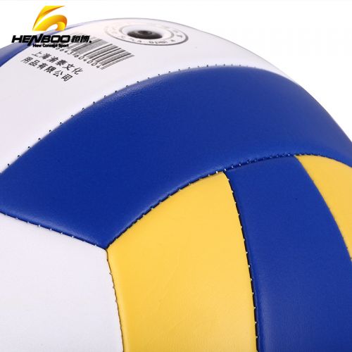 Ballon de volley - Ref 2012321