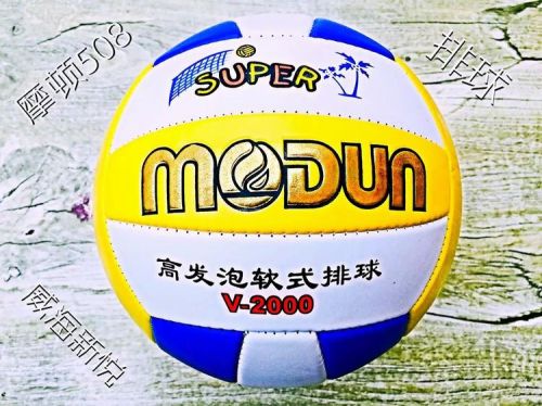 Ballon de volley - Ref 2012341