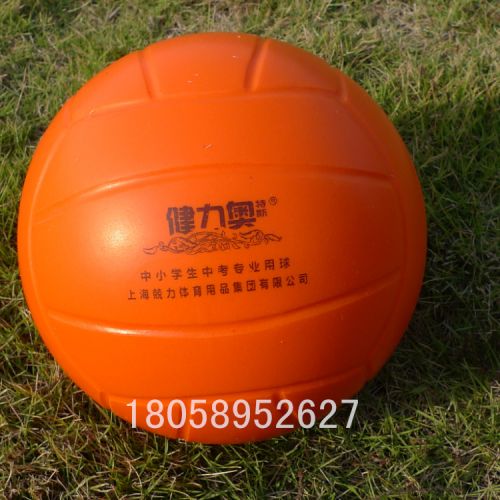 Ballon de volley - Ref 2012347