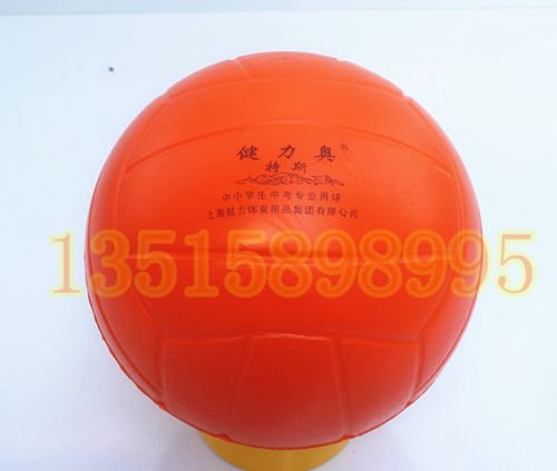 Ballon de volley - Ref 2012392