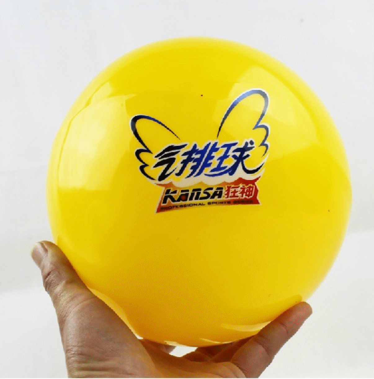 Ballon de volley - Ref 2012433