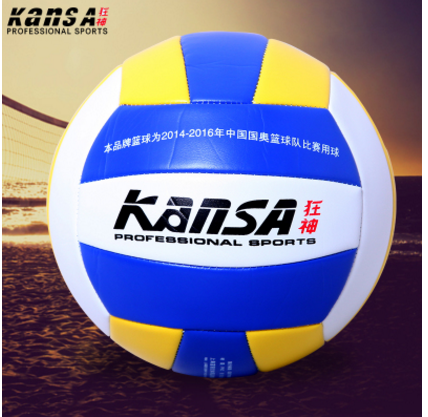 Ballon de volley - Ref 2012438