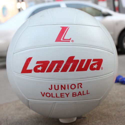 Ballon de volley - Ref 2012442