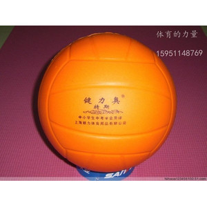 Ballon de volley - Ref 2012450