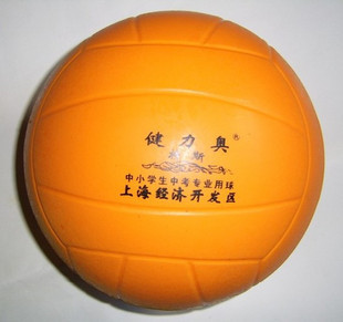 Ballon de volley - Ref 2012453