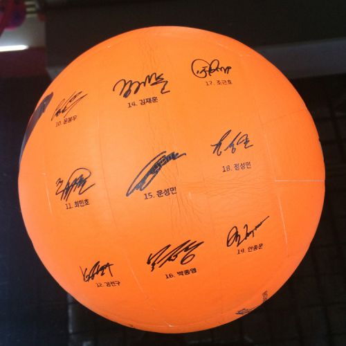 Ballon de volley - Ref 2012469