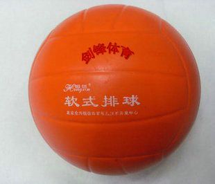 Ballon de volley - Ref 2012491