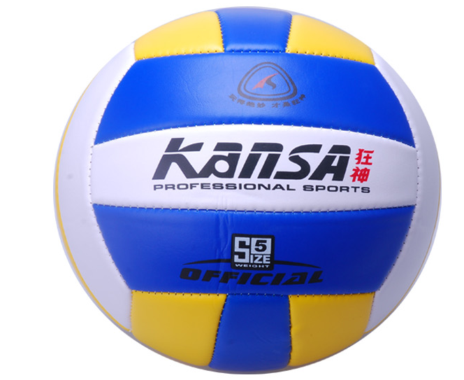 Ballon de volley - Ref 2012508