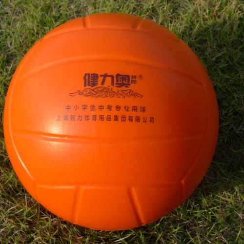 Ballon de volley - Ref 2012510