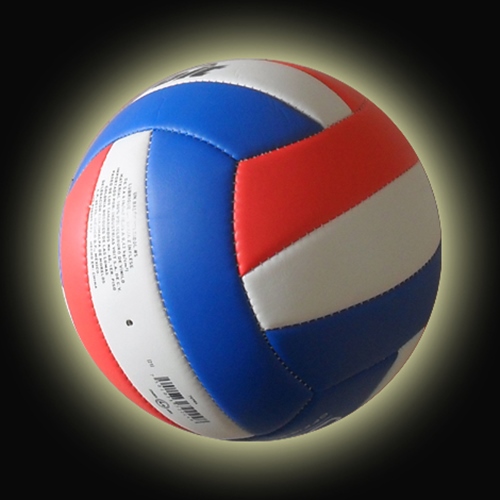 Ballon de volley - Ref 2012511
