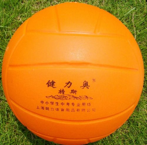 Ballon de volley - Ref 2012529