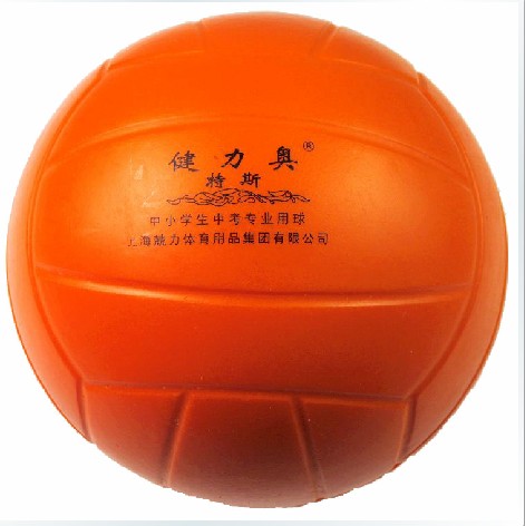 Ballon de volley - Ref 2012550
