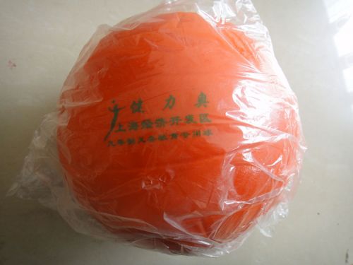 Ballon de volley - Ref 2012561