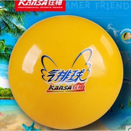 Ballon de volley - Ref 2012576