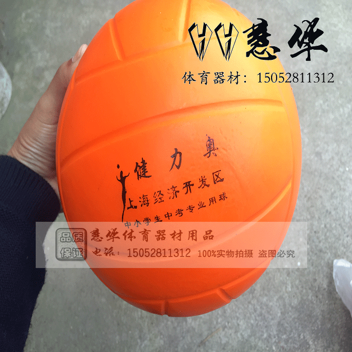 Ballon de volley - Ref 2012587